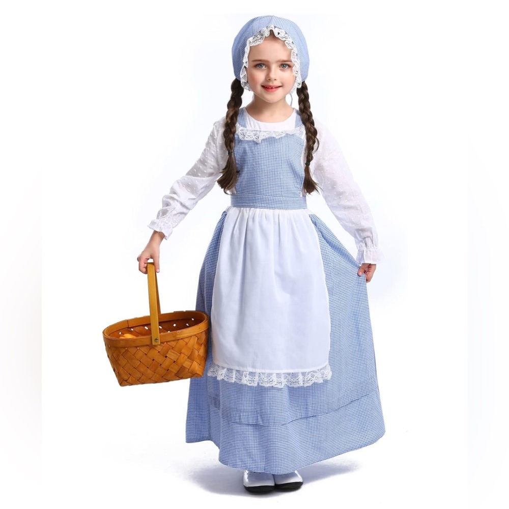 Blue and White Gingham Dress with Apron and Bonnet